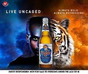 Tiger Beer Advert 300 x 250