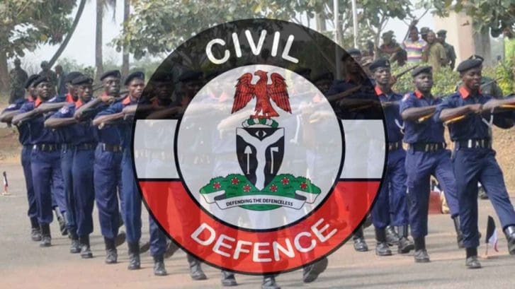 NSCDC nabs nine in Jigawa for cattle rustling