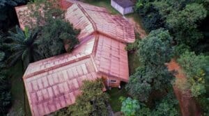 Flashback: Wole Soyinka’s love for nature and eco-friendly home 8 Ijegba 2